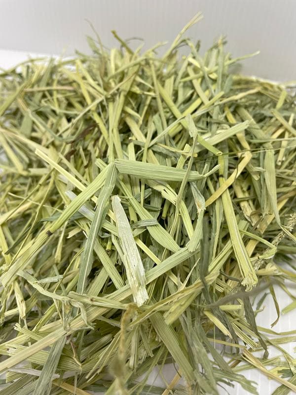 【最終値引き／個包装で鮮度長持ち】新品・うさぎのしっぽチモシー800g×11