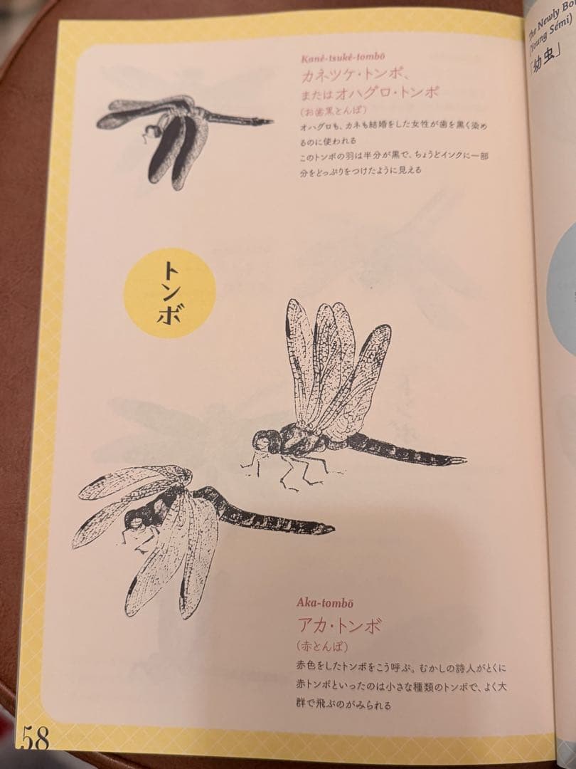 渋*７様 『虫の詩 かそけきものの声音を愛す』小泉八雲