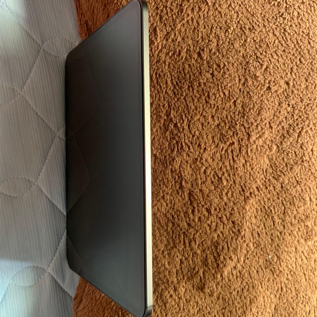 美品iPad Pro11インチ第5世代m4チップ