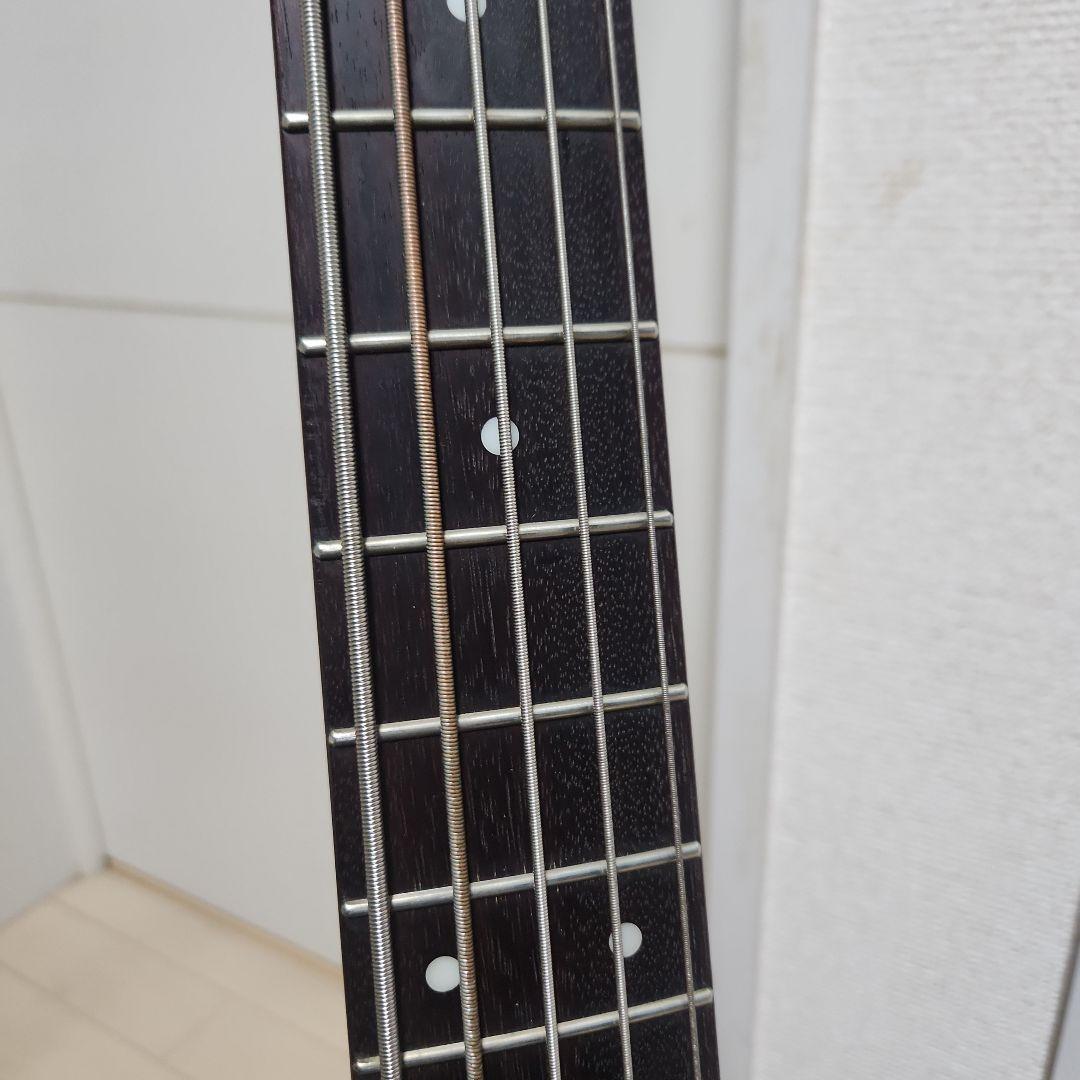 Ibanez GSR205 ソフトケース付き