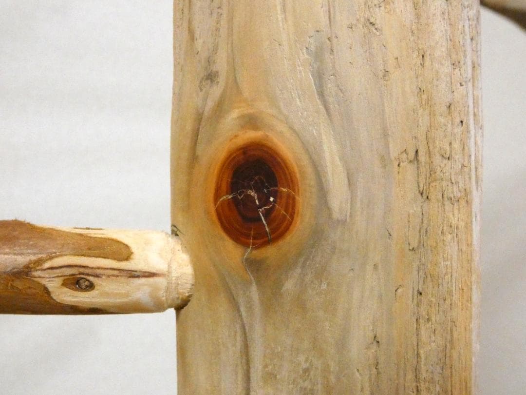 【中型鳥さん用】高さ139cm♬見晴らしのいい螺旋状式止まり木