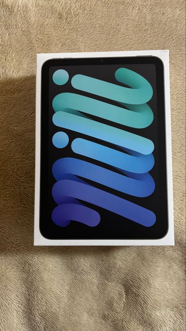 iPad本体 iPad mini 7