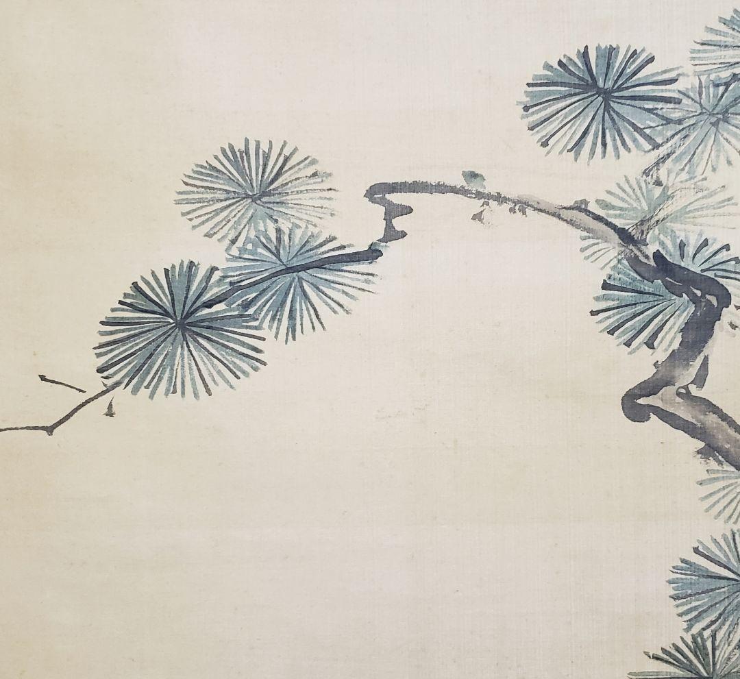 【松に鷹図】狩野栄川院典信 2580 狩野派古画　掛け軸　肉筆