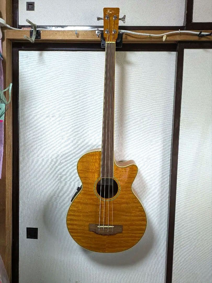 ZENN アコースティックベース フレットレスZB22CE-FL　ソフトケース付