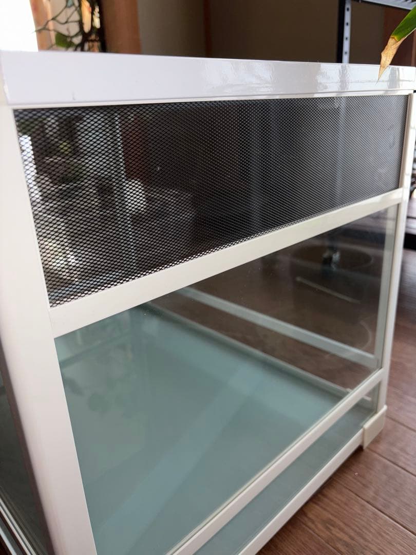 【大陸】三晃商会 パンテオン