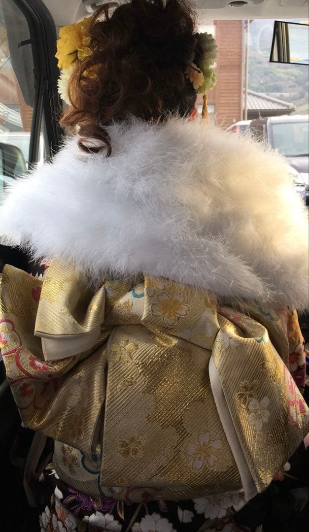 振袖フルセット(鞄、草履、髪飾り付き)