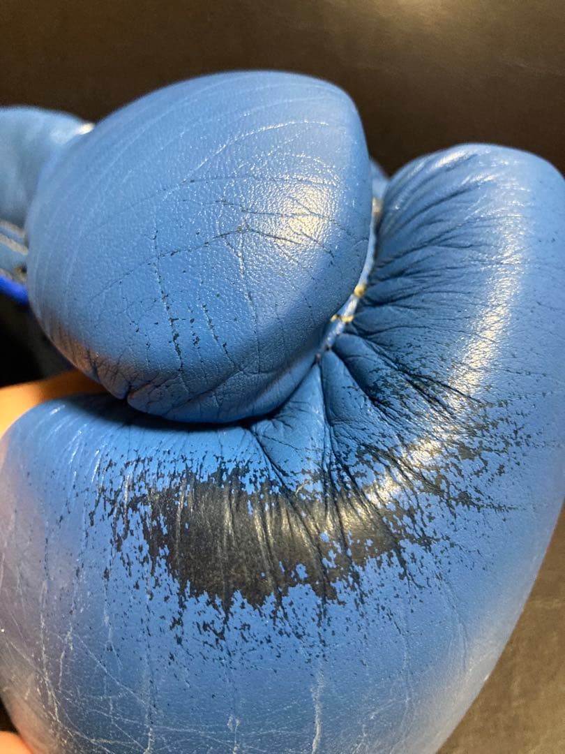 Winning ボクシンググローブ 10oz 紐式 日本製