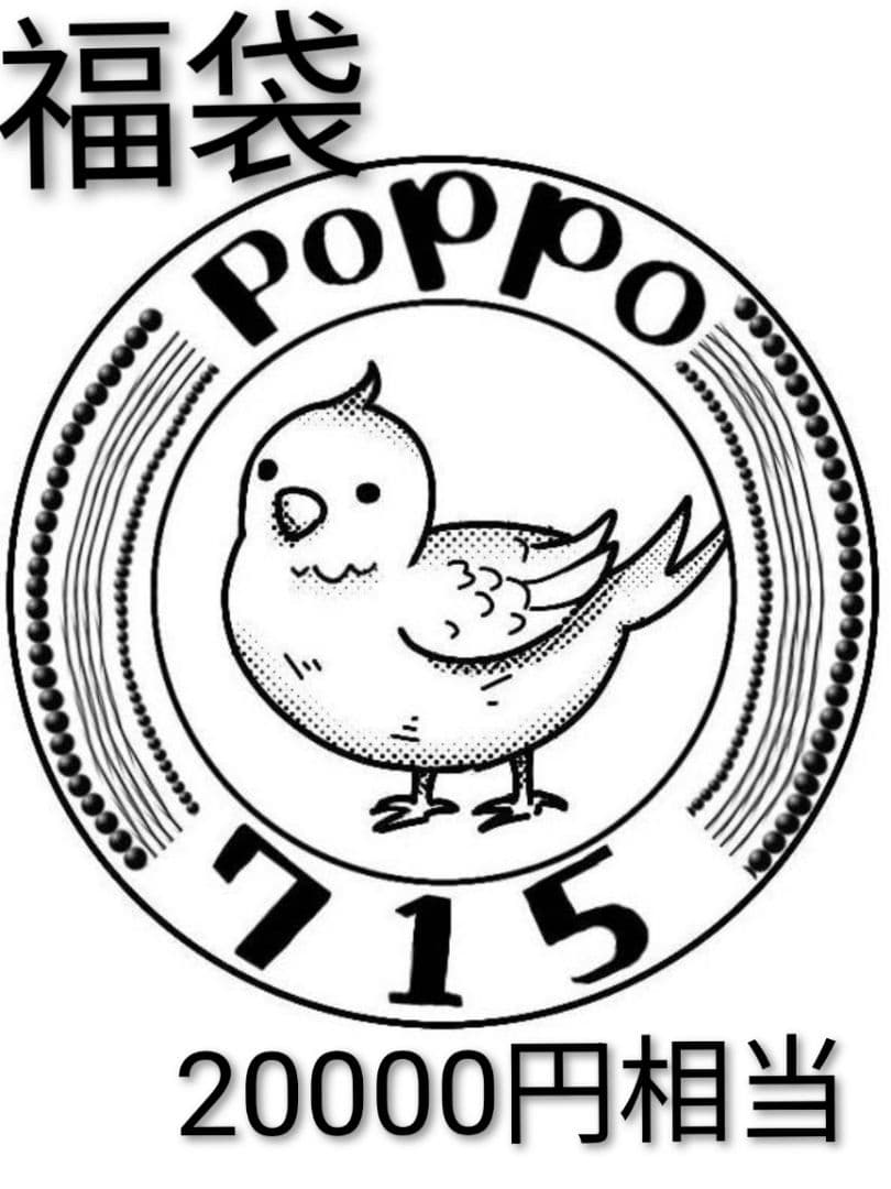 中身がわかる　poppo715福袋（20000円相当）　1/12　布服　⑥