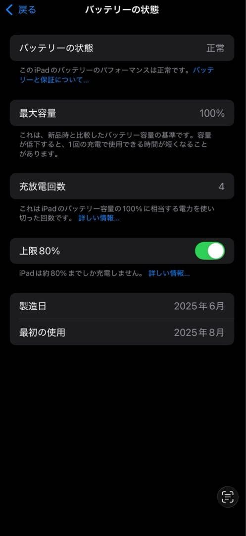 iPad mini 第7世代 A17 pro ブルー 本体 極美品 保証残有り