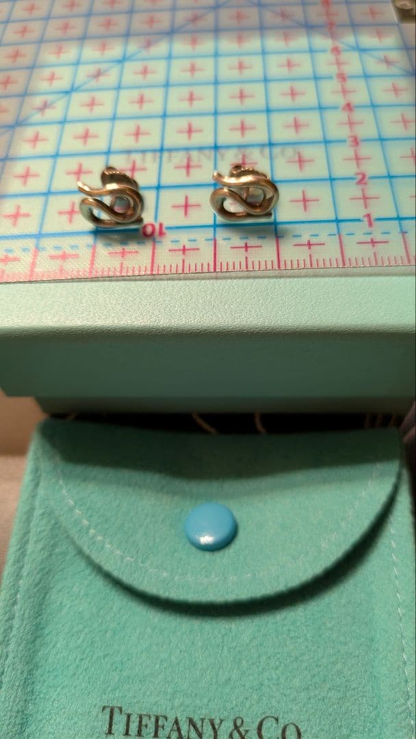 Tiffany & Co. 無限大デザインピアス