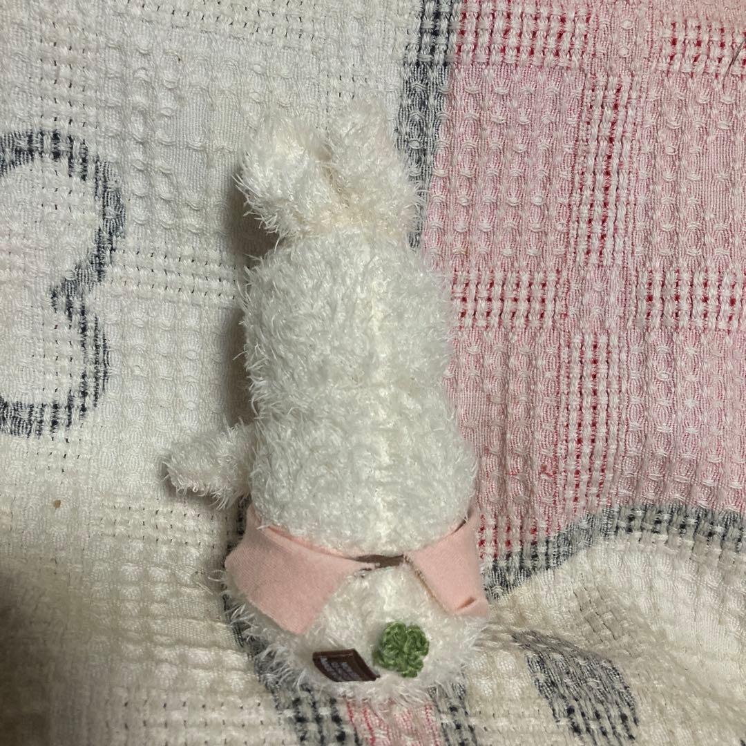 モンスイユ　ブラマンジェ　うさぎ＆ぶた＆はりねずみ＆ひよこ　6こ　ぬいぐるみ