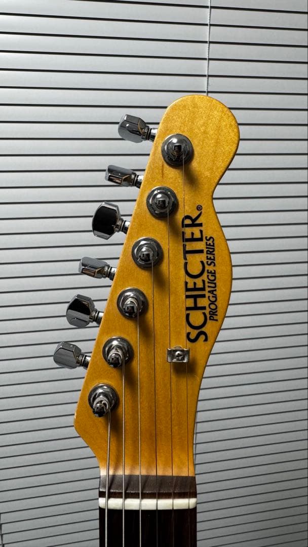 SCHECTER 凛として時雨 TKモデル PA-LS/TK