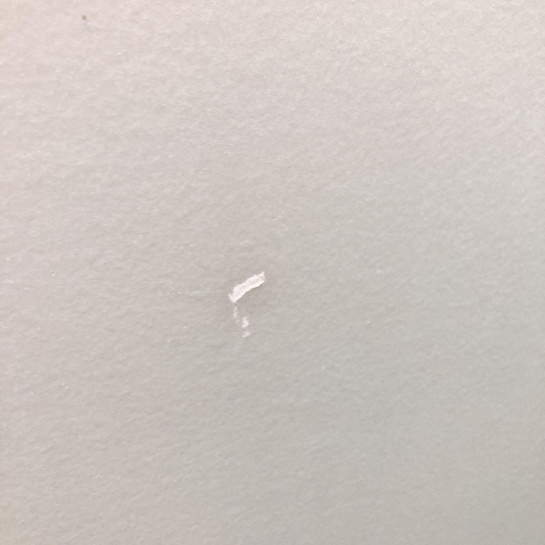 【9/100】カシニョール　リュクサンブール公園　スクリーン衝立　ケース付き