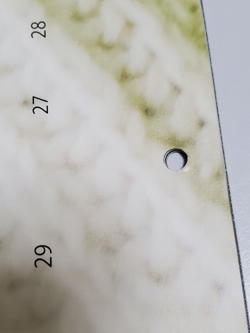 佐藤健 カレンダー 2013 2014 めくる アスマート 特典 ポストカード