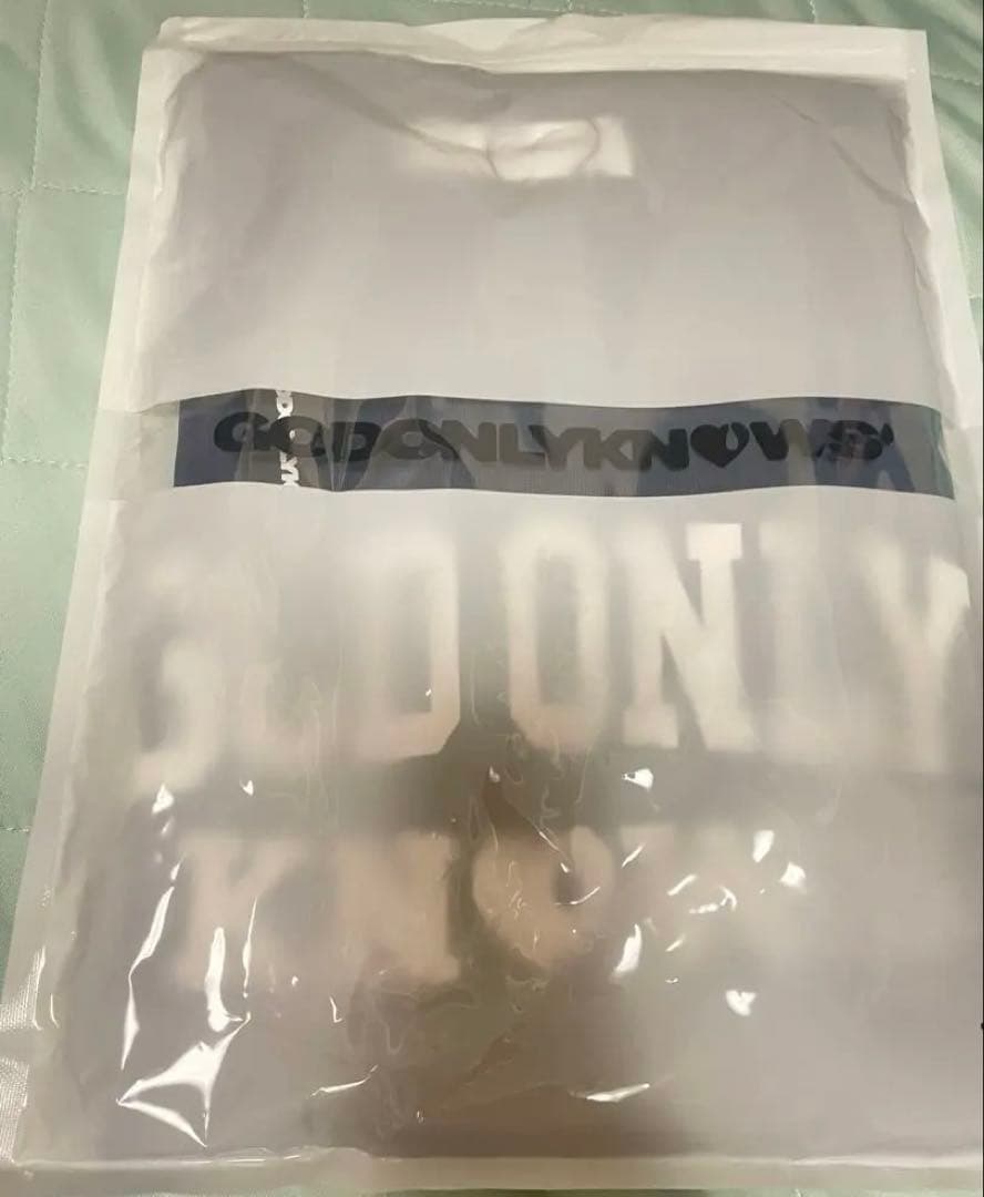 【️最終お値下げ‼️】岩田剛典 GOD ONLY KNOWS ロゴTシャツ Mサイズ