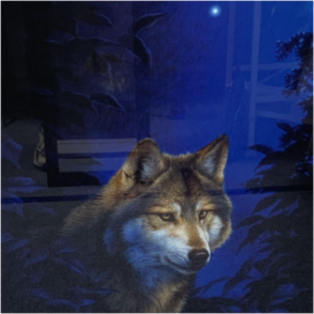 ☆狼　 青い森　絵、版画　真作 ジョウナイトウ直筆