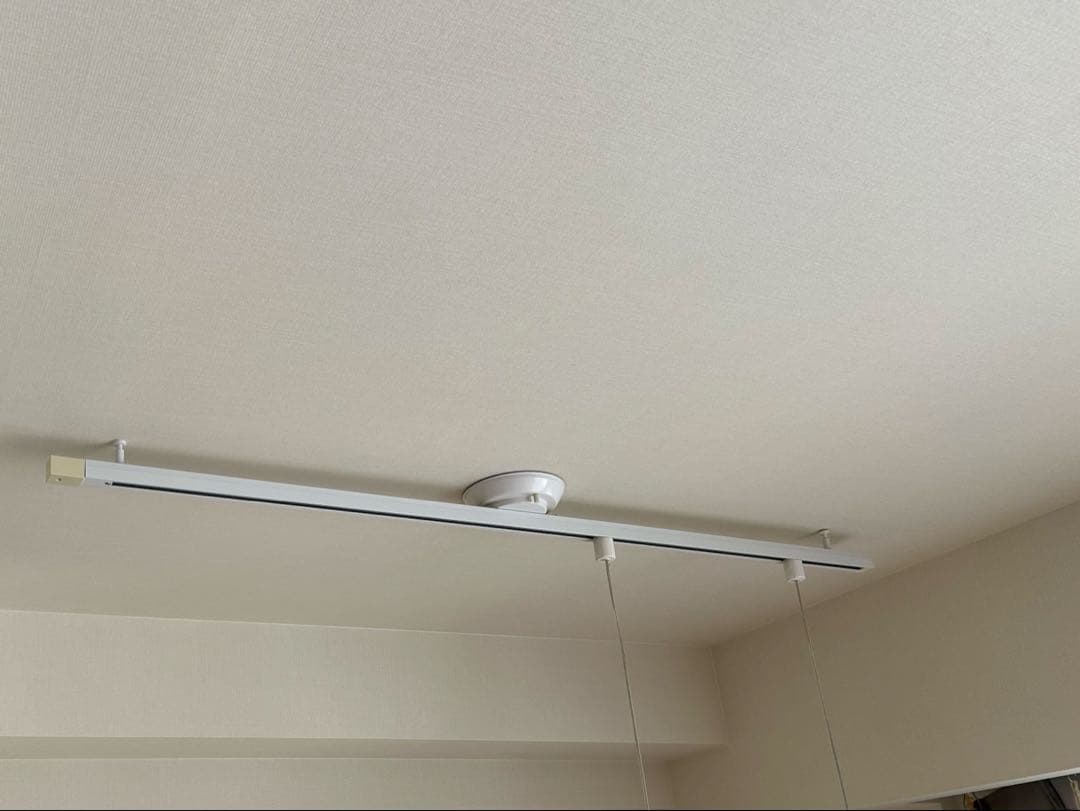 最終価格　FLOS (フロス) Fucsia (フーシア) ペンダントライト1灯