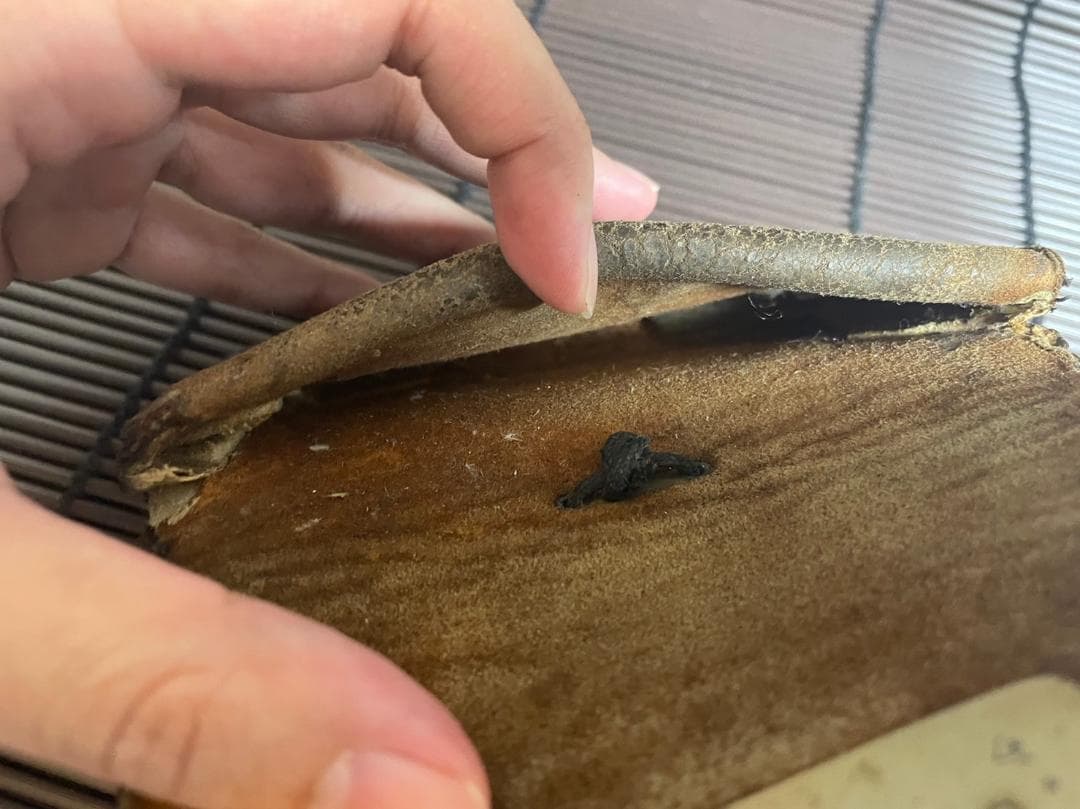 『大天狗』煙草入れ　キセル入れ　在銘　傾奇者　骨董　江戸時代 　時代物