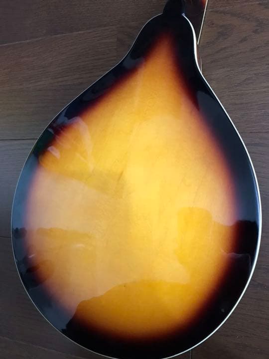 PLAYTECH フラットマンドリン