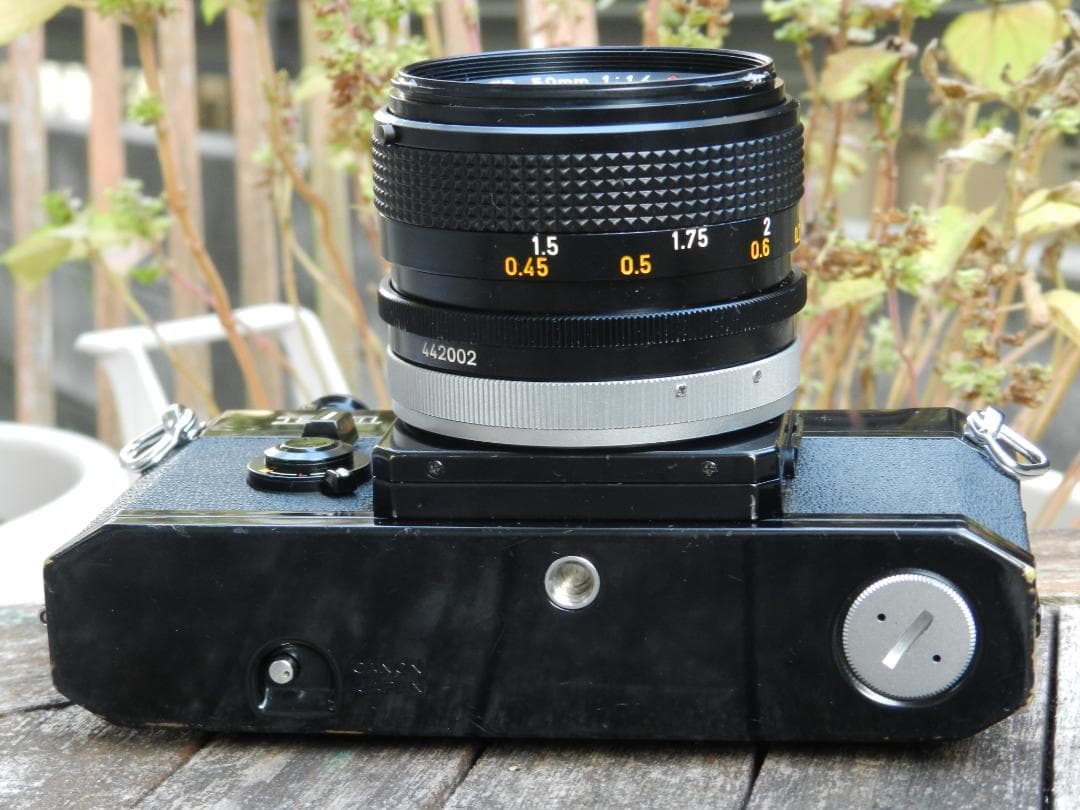 美品　Canon F-1+50mm 1.4 ssc S.S.C 即撮影可