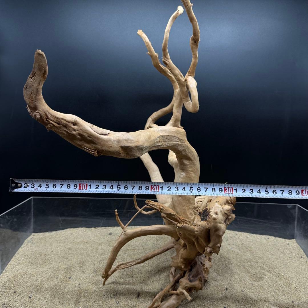 MDW-7000 特大ブランチウッド　流木　枝流木　アクアリウム