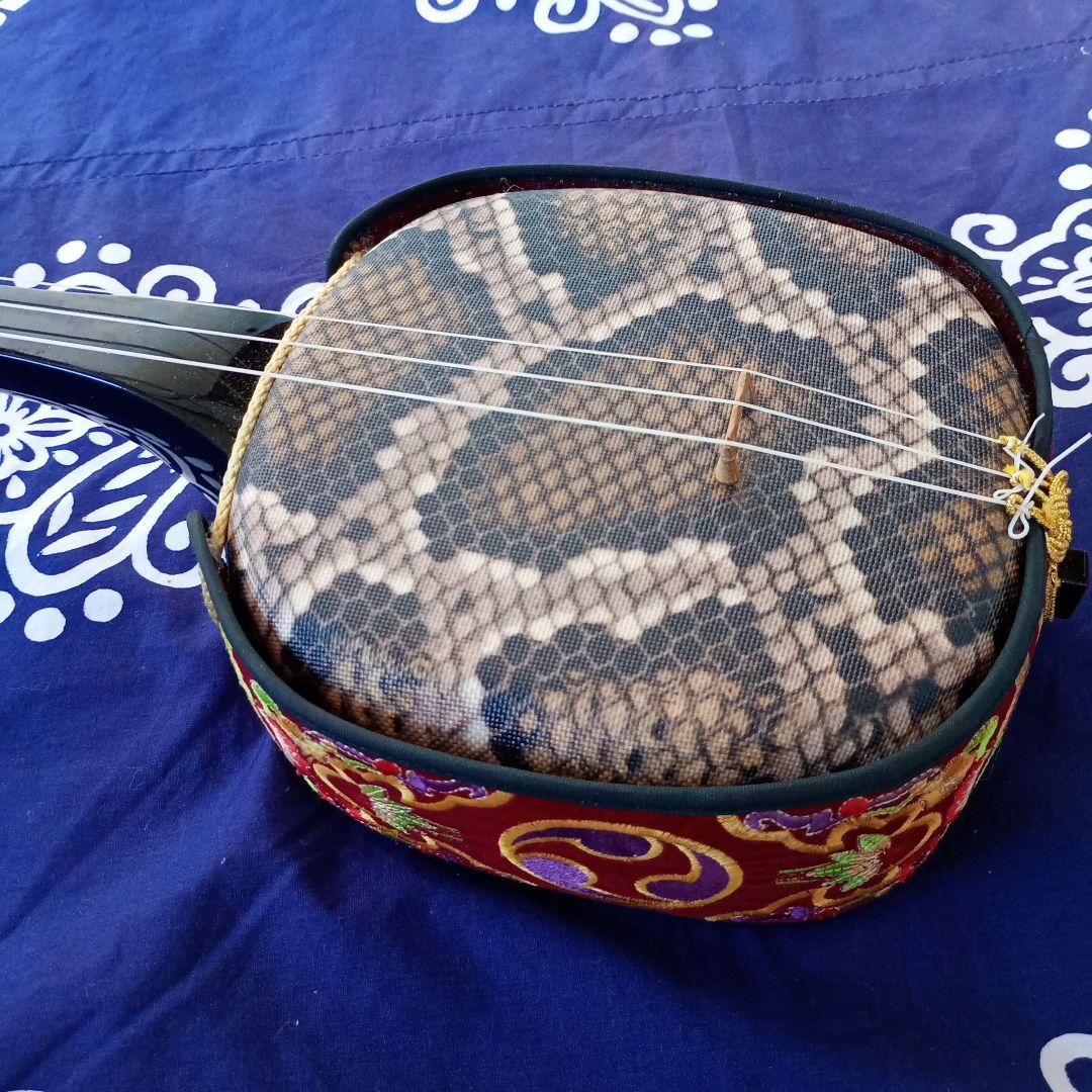 三線本体 伝統的デザイン　人工蛇皮　ハードケース付き