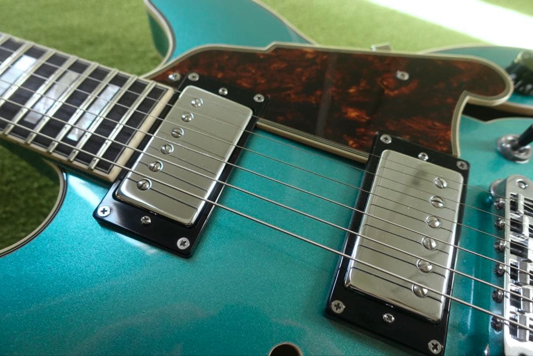 【セール】D'Angelico Premier Mini DC