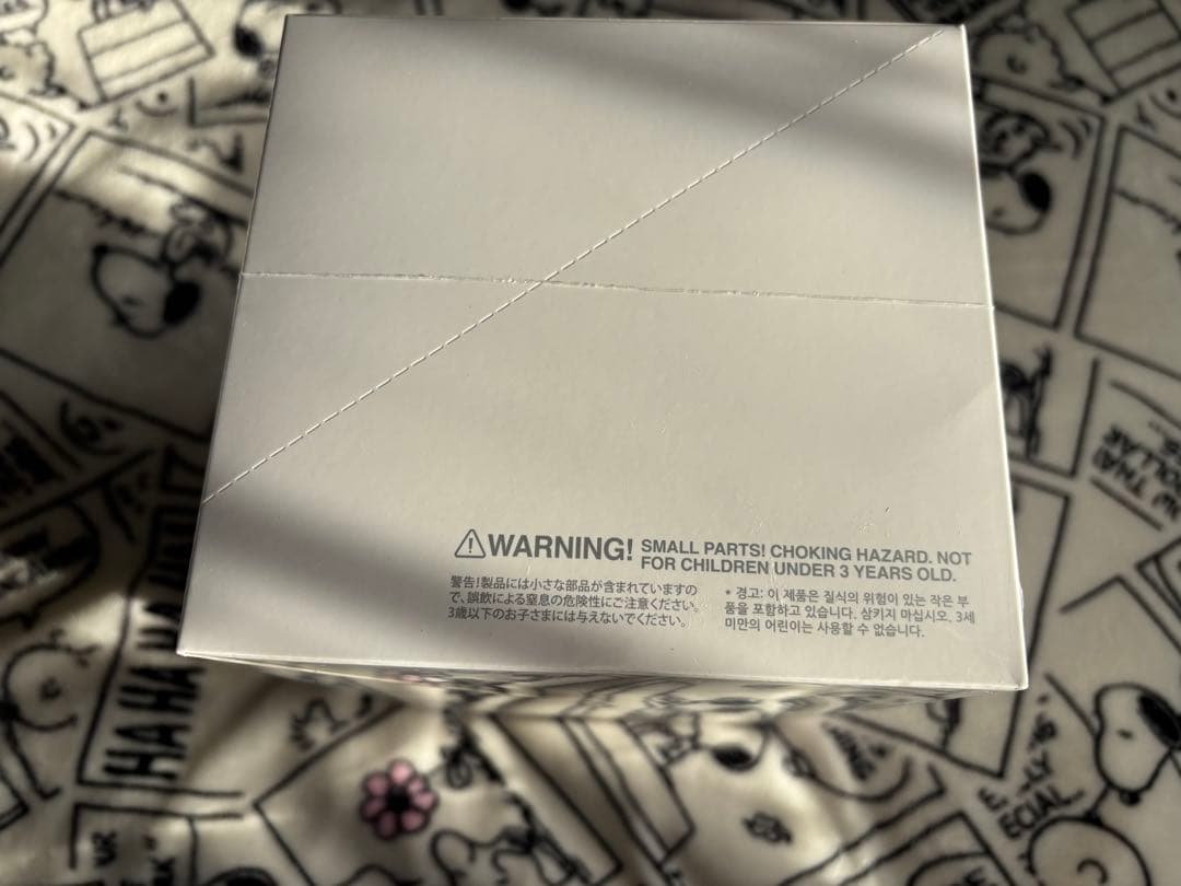 ラブブ　シュリンク付未開封　ラブブBig into Energyアソートボックス