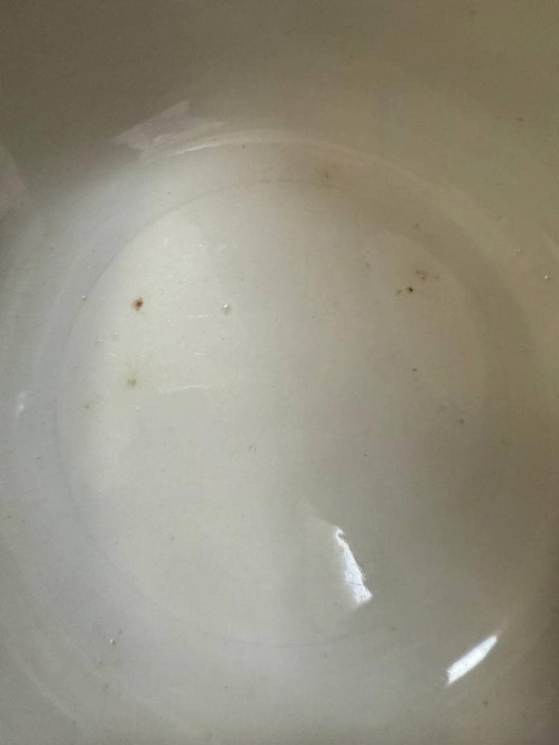 英国アンティーク陶器 R.H. Plant 19世紀？Tuscanウェッジウッド