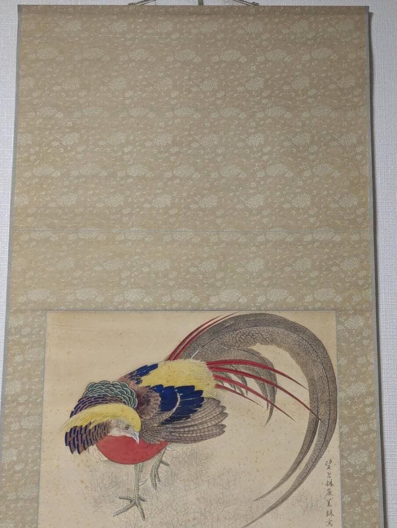 【真作】掛軸　錦鶏　金鶏鳥　日本画　古画　美術掛け軸　共箱入　U111