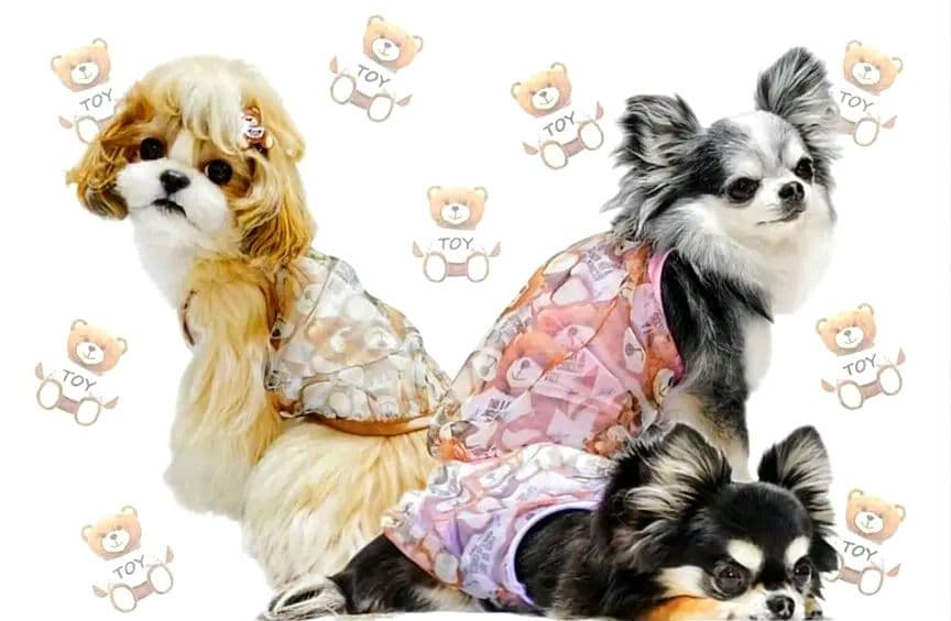 A　Airy Bear キャミ3色セット　サーカスサーカスcircuscircu