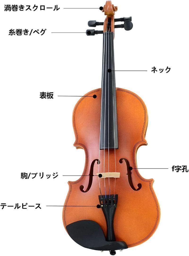 M2228-128-92】バイオリン 3/4 初心者セット ヴァイオリン 弓2本