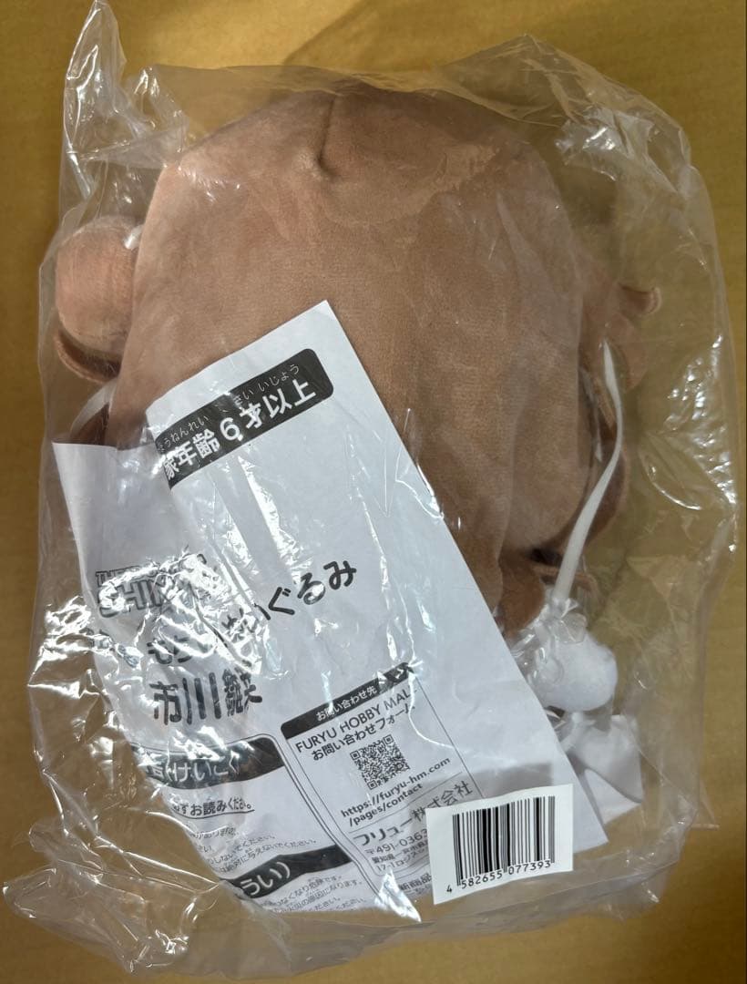 アイドルマスター シャイニーカラーズ もち what! 市川雛菜