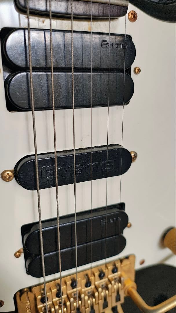 フェルナンデス FST-125　ラッカー　エボニー　Evansピックアップ