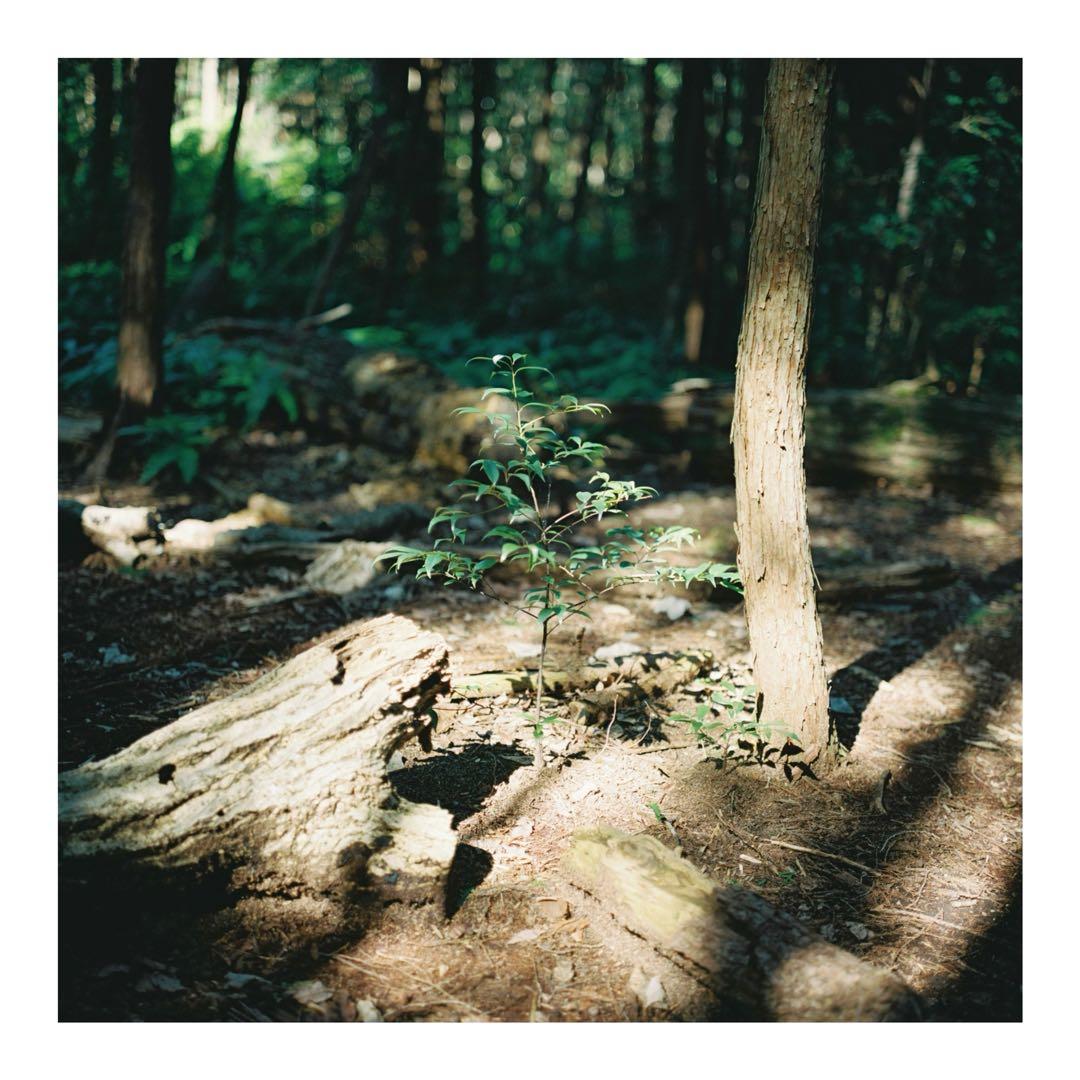 [露出計完動]Rolleiflex 2.8F Planar 80mm 二眼カメラ