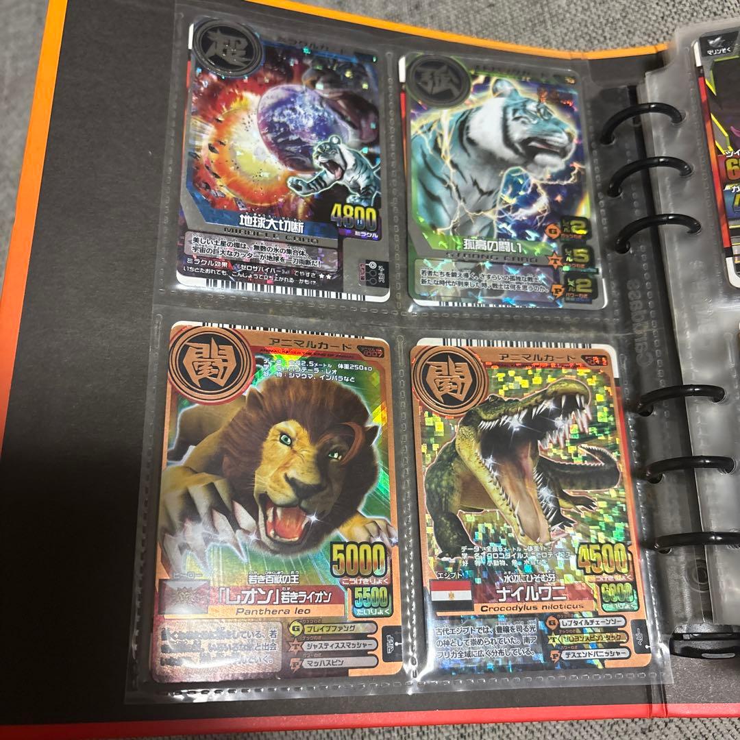アニマルカイザーデータカードダスセット