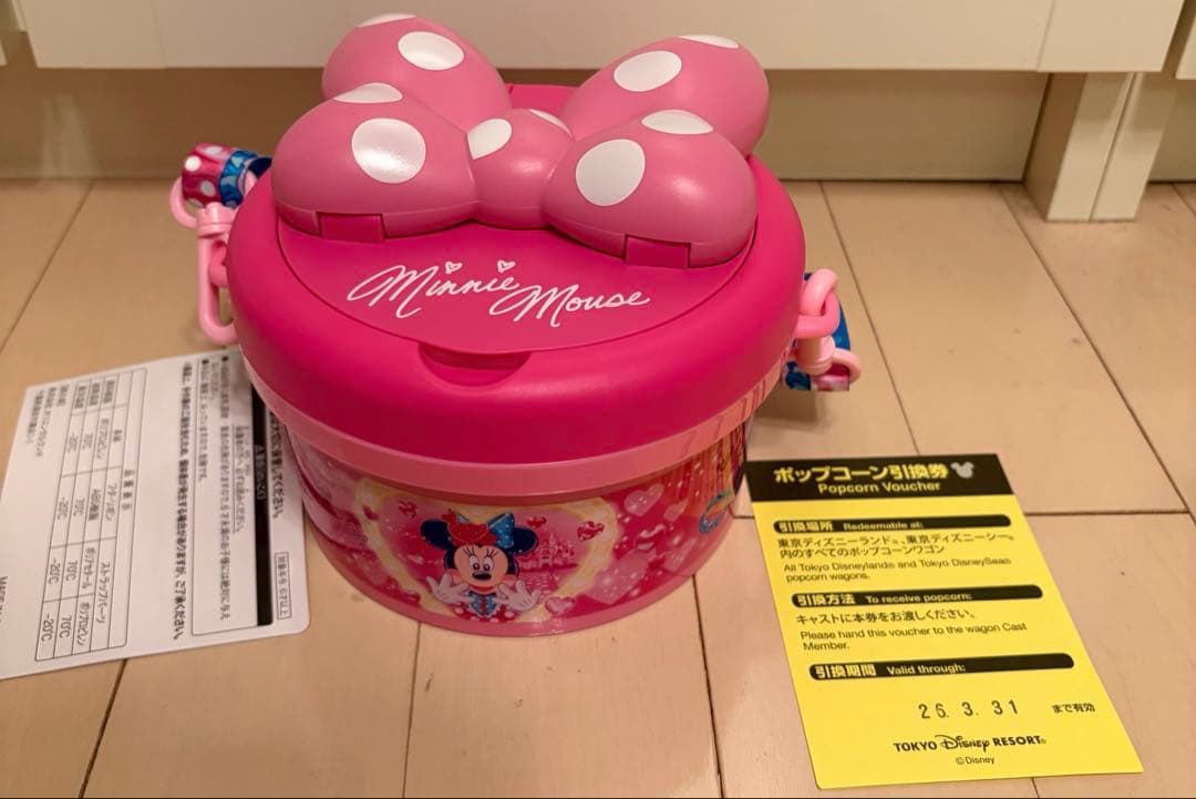 ディズニーパルパルーザ☆ミニーファンダーランド ポップコーンバケット☆チケット付