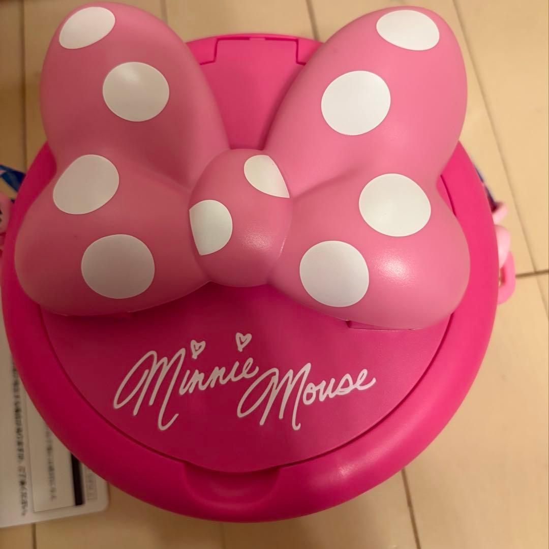 ディズニーパルパルーザ☆ミニーファンダーランド ポップコーンバケット☆チケット付