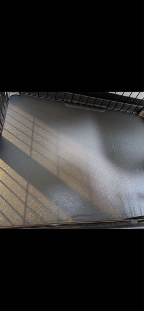 ボンビアルコンウッドワンサークルキャットミニ