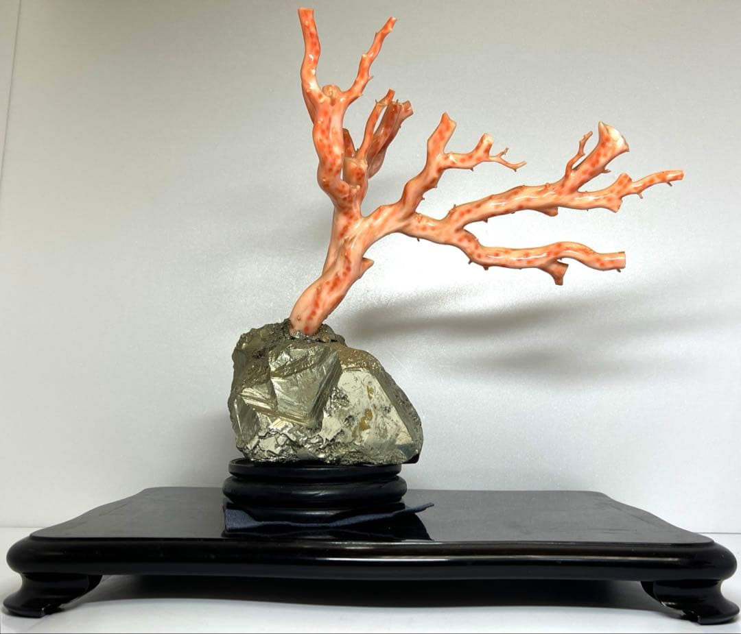 特大　極太桃色珊瑚　台付　3674g 東Y7-1106☆2Fトコオ