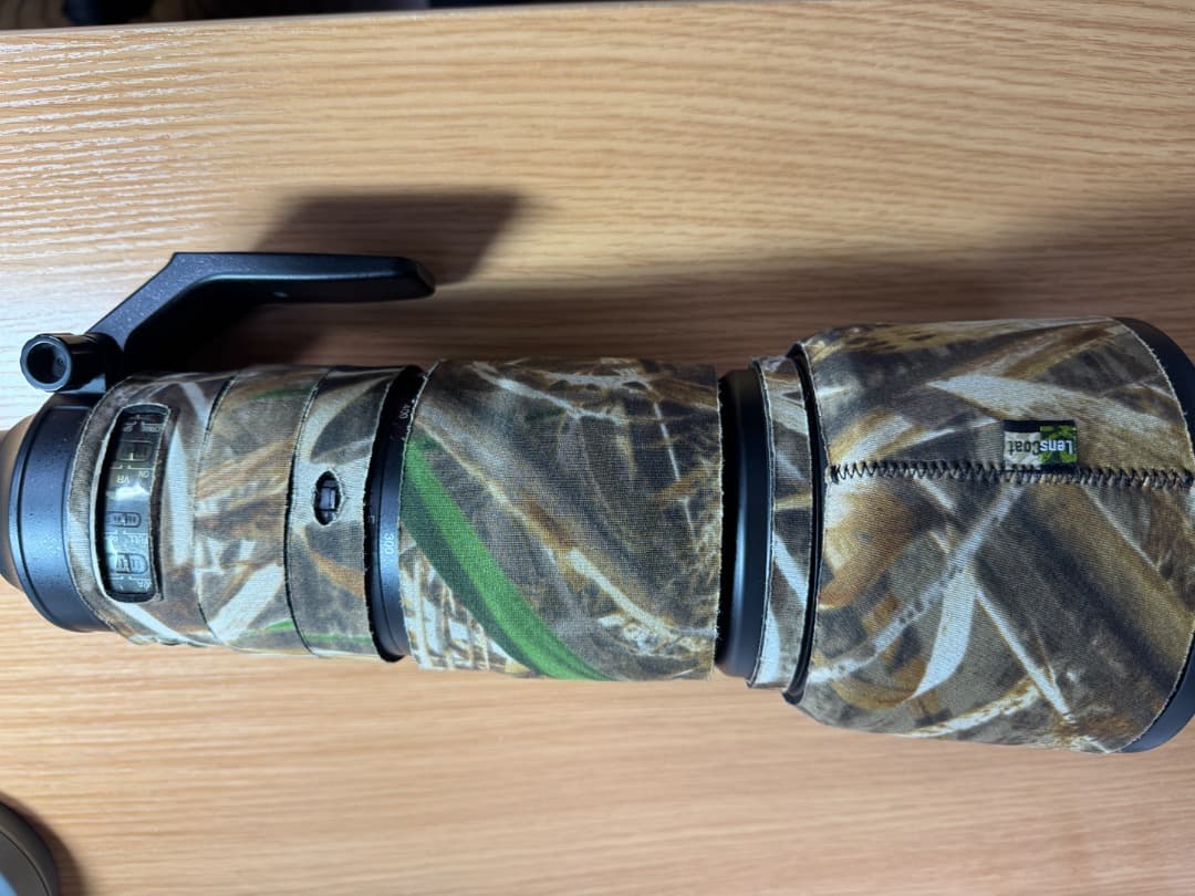 AF-S NIKKOR 200-500mm f/5.6E ED VR　おまけ付き