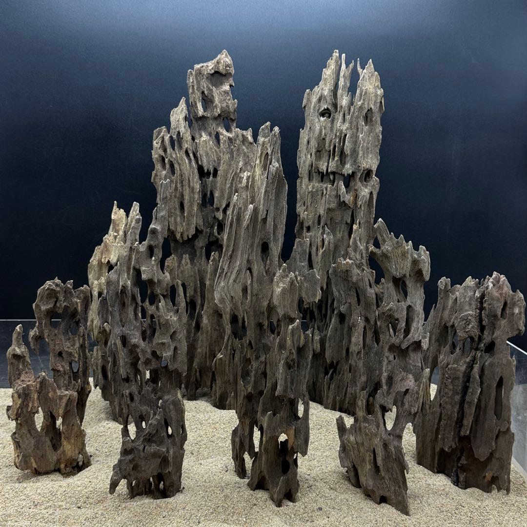 MMW-7055 マシンガンウッド8本セット　流木　アクアリウム