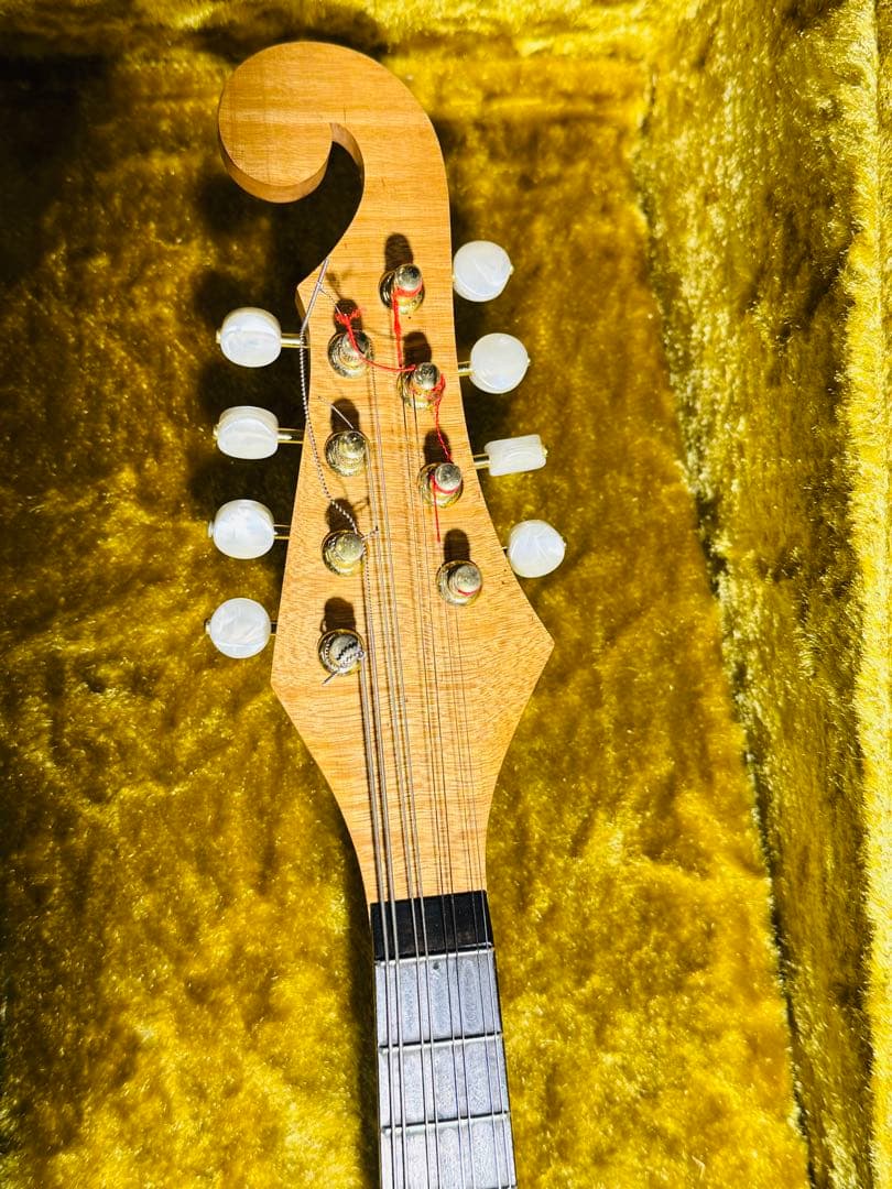 横内の花子 マンドリン