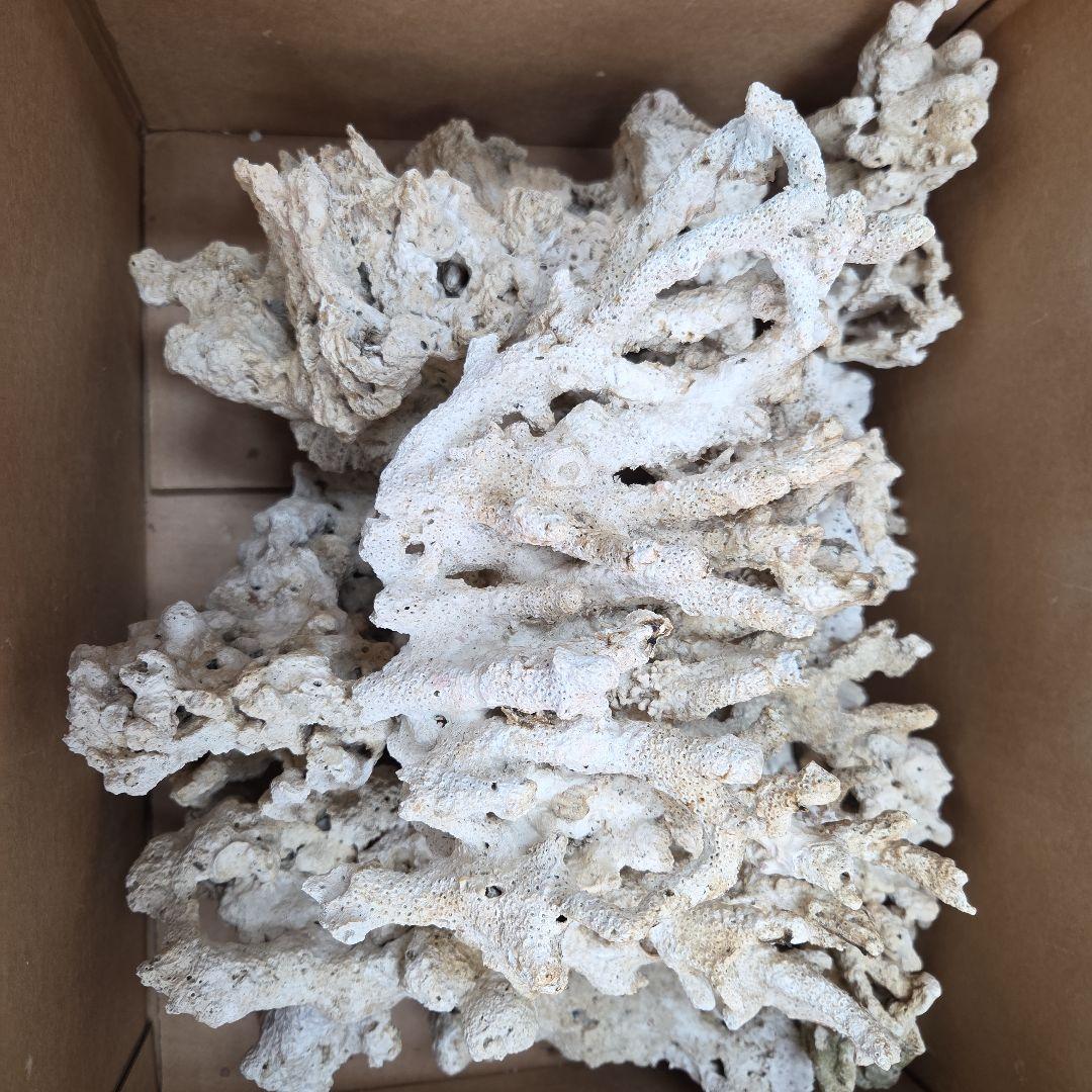 人工サンゴ コーラル型 水槽用石