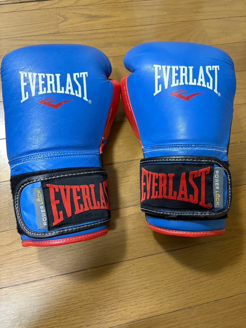 Everlast パワーロック トレーニンググローブ 14オンス