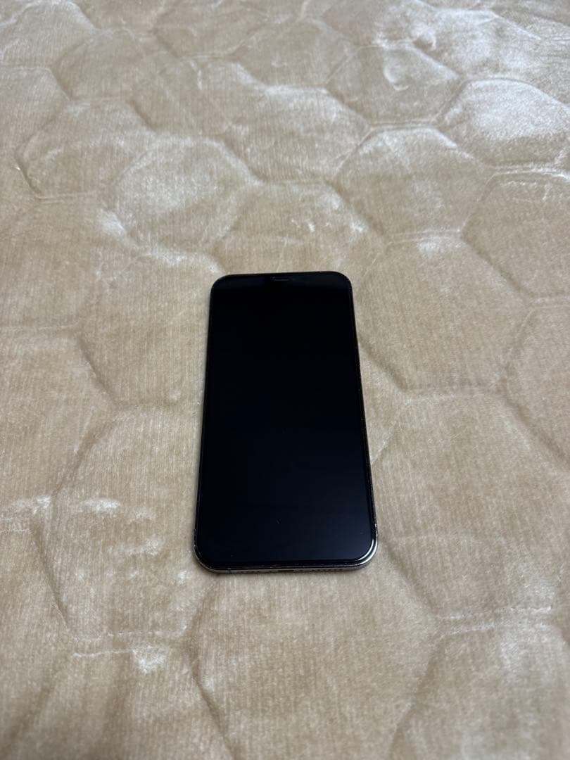 Apple iPhone 12 Pro Max 256GB グラファイト