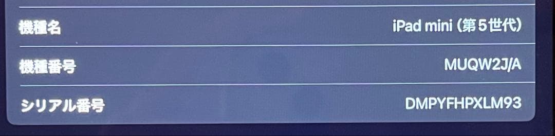 iPad mini5 wifiモデル　64GB