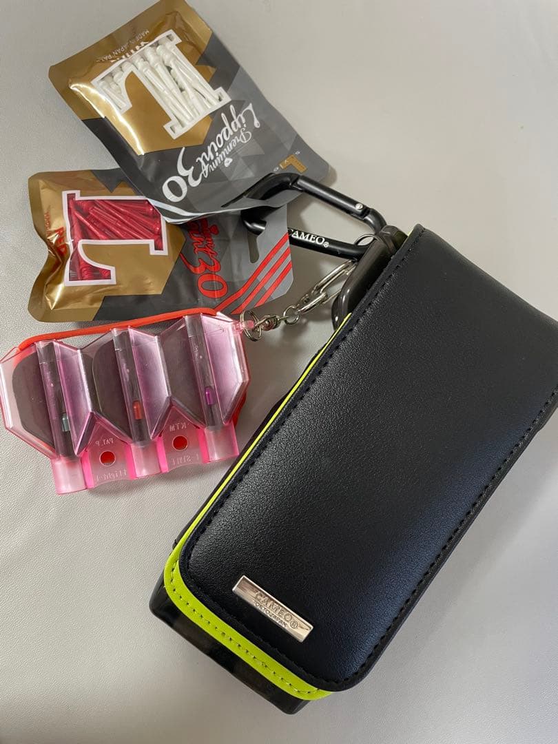 ダイナスティー トリプレイト エフォール4 タイプA レインボー 9点セット