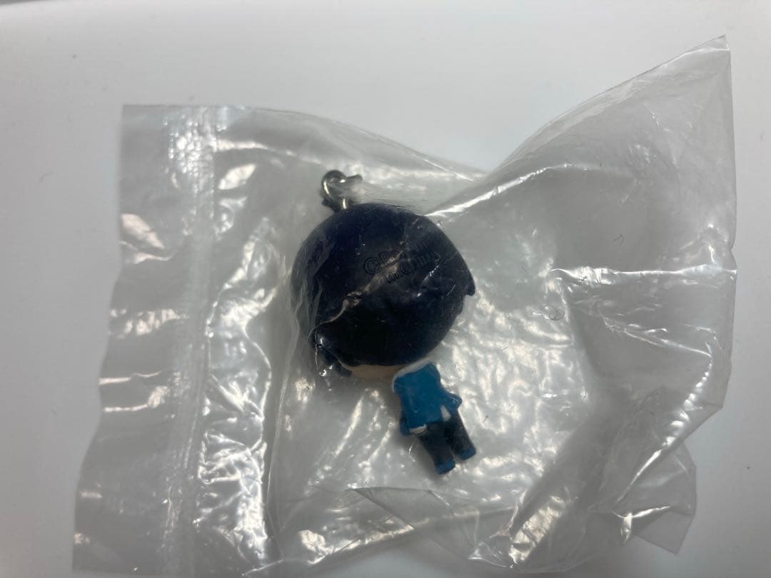 カラコレ ポケモンメイト 5種