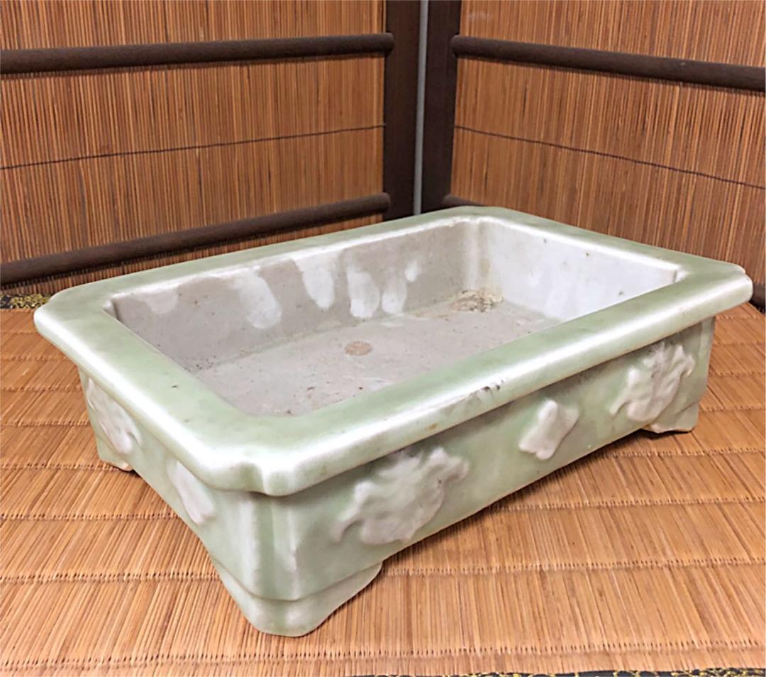 時代 青磁 水盤 盆栽